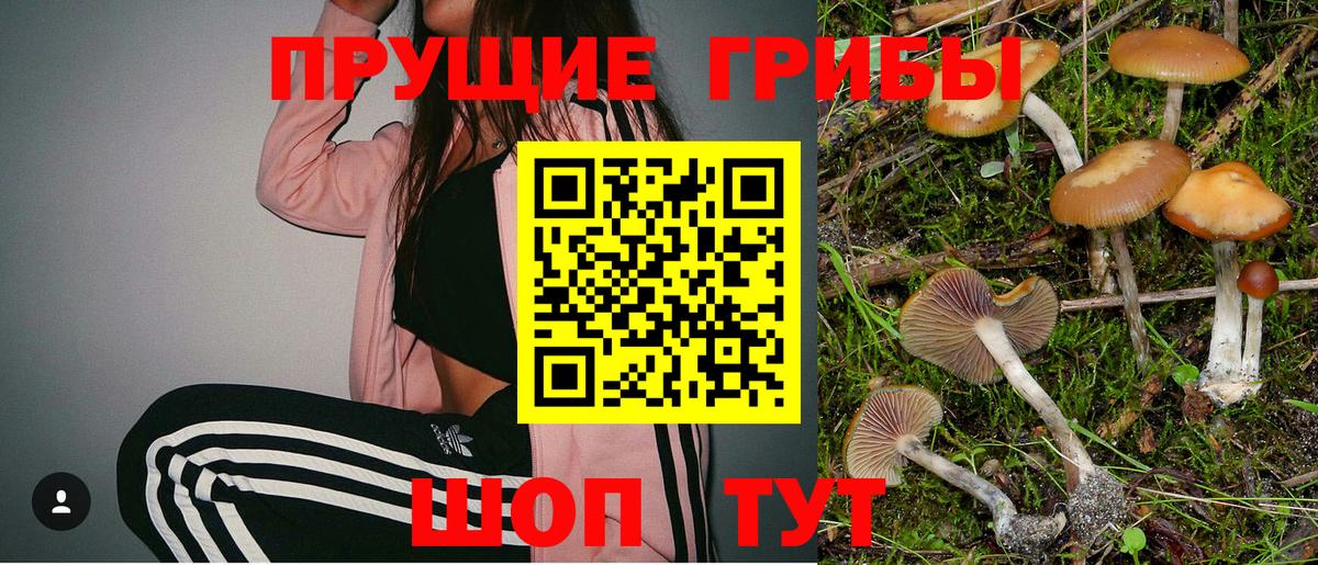 Галлюциногенные грибы мухоморы Тимашёвск